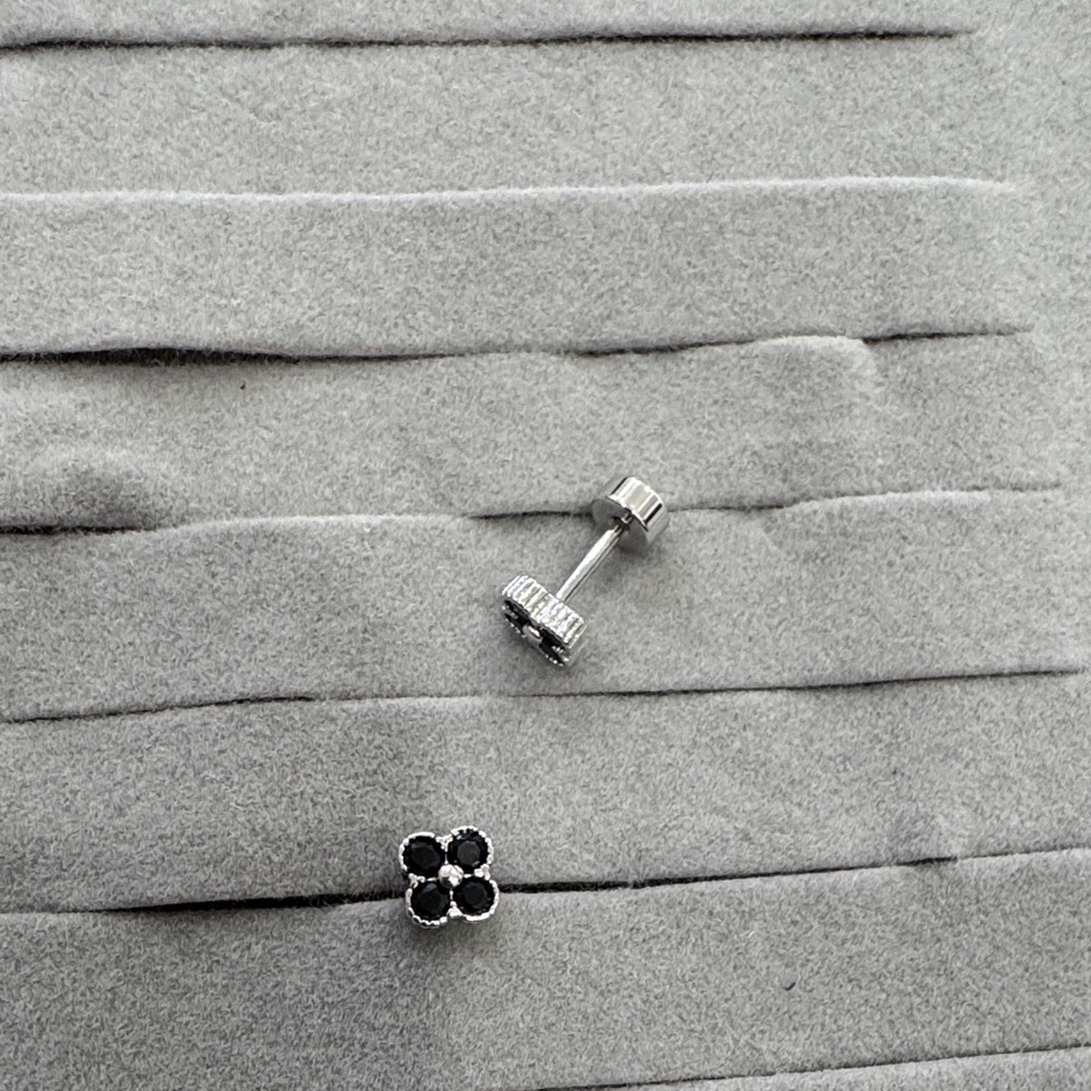 Silver and Black Stud Earrings